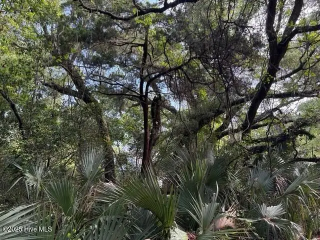 207 Muscadine Wynd, Bald Head Island, NC 28461 - Image #3