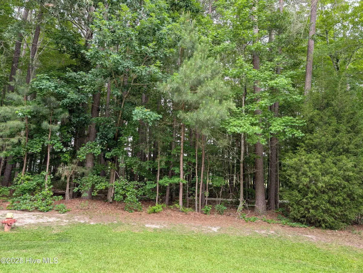 124 Nottaway Drive, Hertford, NC 27944 - #1