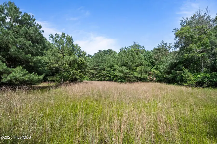 Tbd Remington Way, Richlands, NC 28574 - Image #3