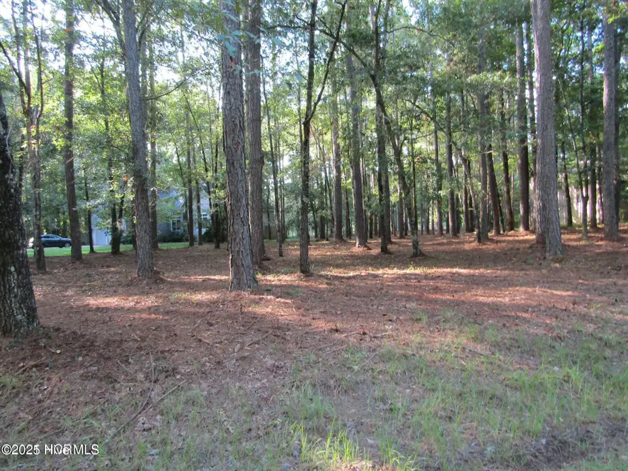 Lot 197 W Lakeview Lane, Washington, NC 27889 - Image #3