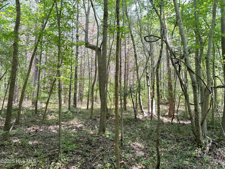 Lot 22 Buckhorn Church Road, Como, NC 27818 - Image #2