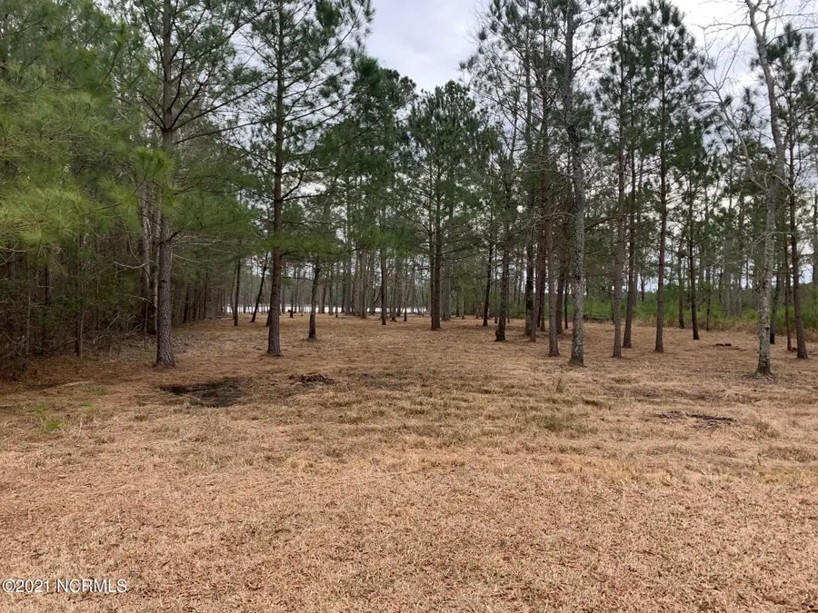 Lot 37 Sunset Road, Belhaven, NC 27810 - Image #2
