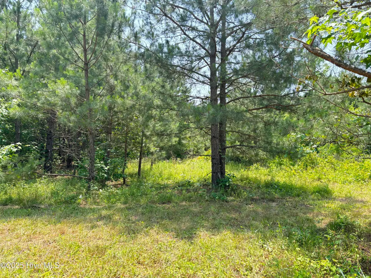 Lot 24 Buckhorn Church Road, Como, NC 27818 - Image #1