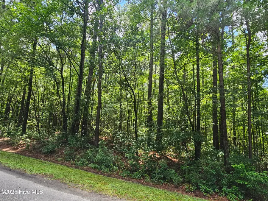 1429 Forest Acres Drive, Greenville, NC 27834 - Image #3