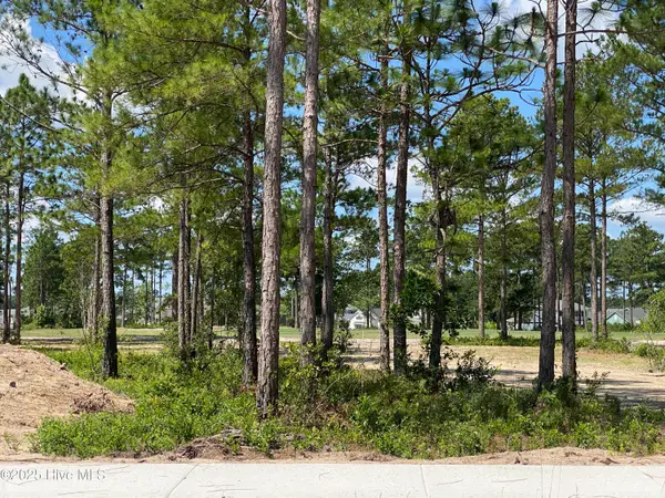 8743 Compass Pointe West Wynd Ne, Leland, NC 28451