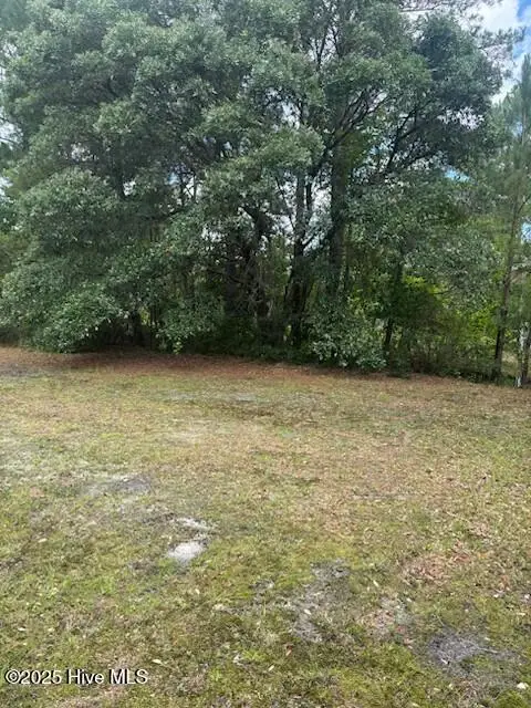 0 Us 17 Highway, Hampstead, NC 28443 - Image #1