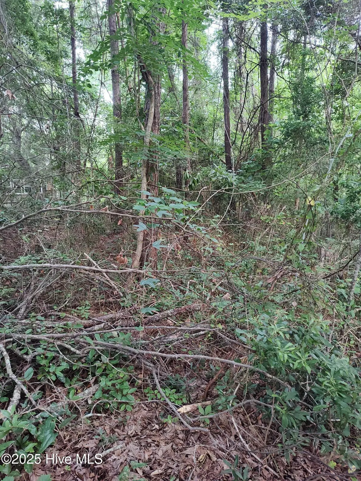 106 Taylor Lane, Hubert, NC 28539 - Image #1