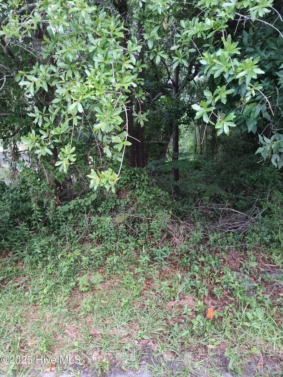 106 Taylor Lane, Hubert, NC 28539 - Image #2