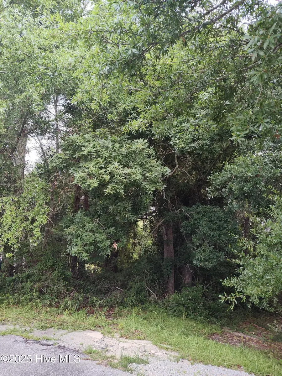 106 Taylor Lane, Hubert, NC 28539 - Image #3