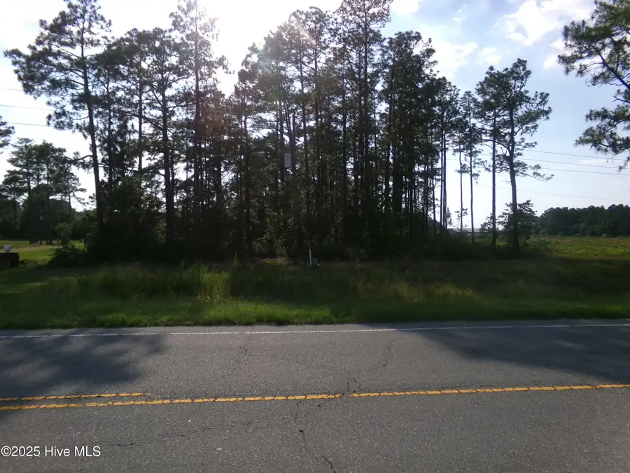 Lots 35-38 Us 701 Highway N, Elizabethtown, NC 28337 - Image #2