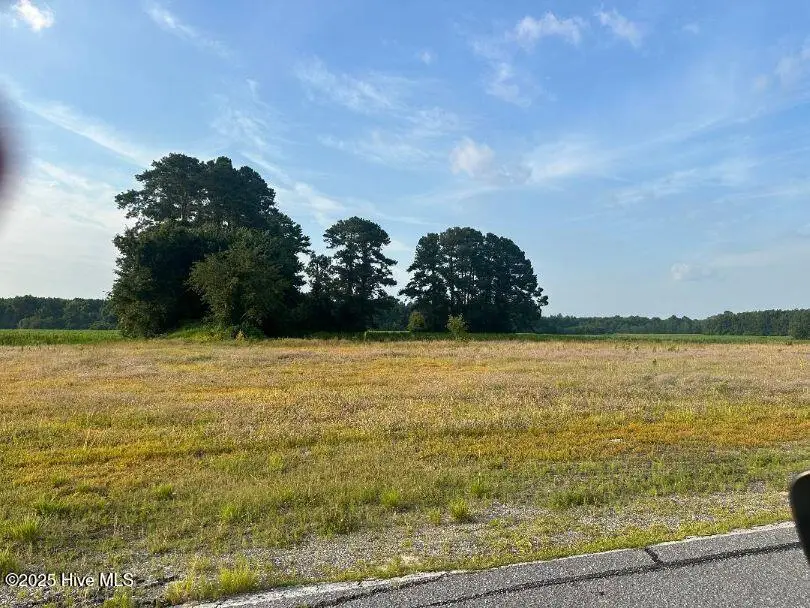 0 Lloyd Corey Road, Robersonville, NC 27871 - Image #2