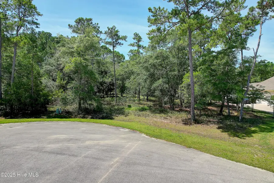 3406 Portside Drive Sw, Supply, NC 28462 - #2