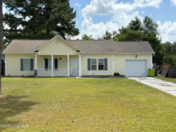 117 Boysenberry Fields Road, Maple Hill, NC 28454