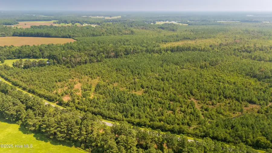 28.6 Acres Fountaintown Road, Beulaville, NC 28518 - Image #3