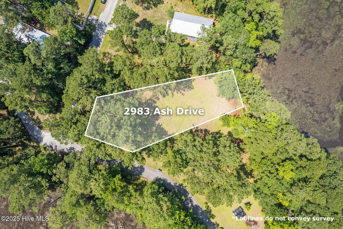 2983 Ash Drive Sw, Shallotte, NC 28470 - Image #1