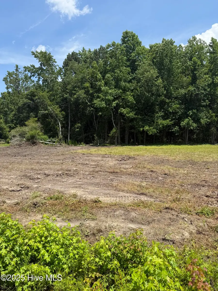 308 Belgian Court, Richlands, NC 28574 - Image #2