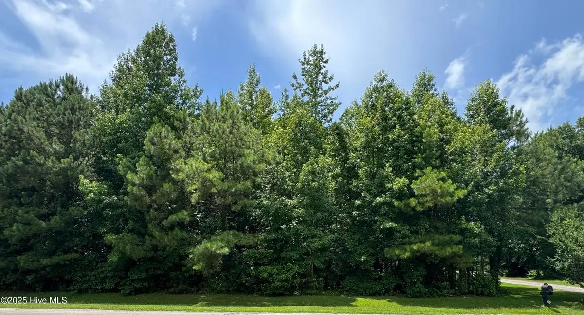 263 Whites Crossing Lane, Whiteville, NC 28472 - Image #1