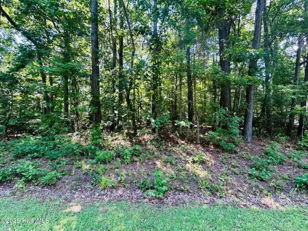 56 Holly Street, Hertford, NC 27944