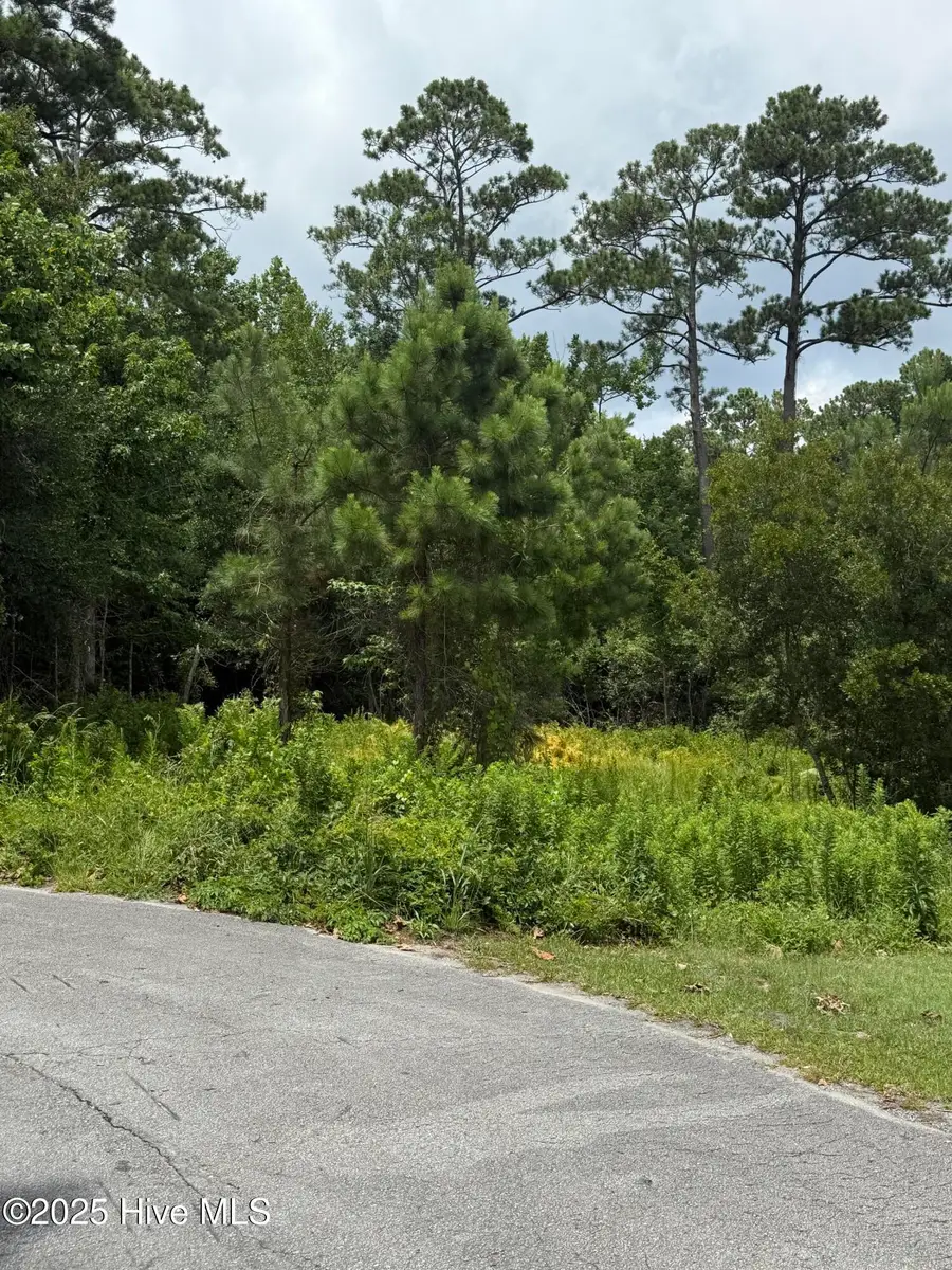 1015 Meridian Drive, Sneads Ferry, NC 28460 - Image #2