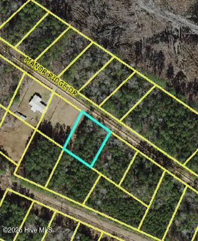 Lot 43 Manor Ridge Drive, Clarkton, NC 28433 - Image #1