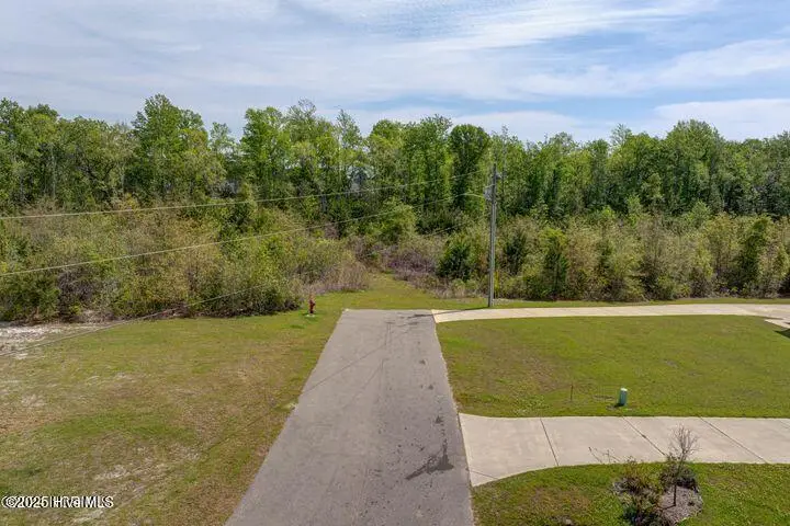 0 Hardison Road, Holly Ridge, NC 28445 - Image #3