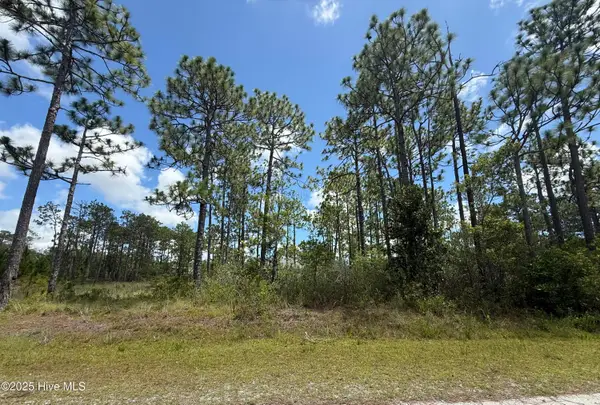 407 Sunset Road, Boiling Spring Lakes, NC 28461