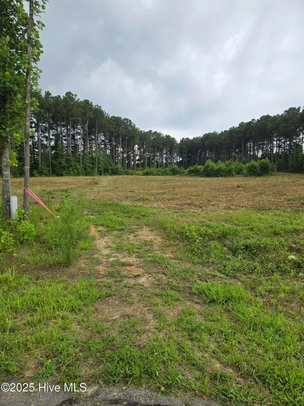Lot 51 Roseheath Court, Bailey, NC 27807