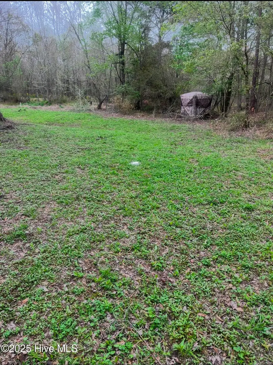 0 Shiloh Road, Willard, NC 28478 - Image #3