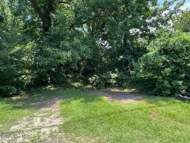 1005 Broad Street, Windsor, NC 27983 - Image #3