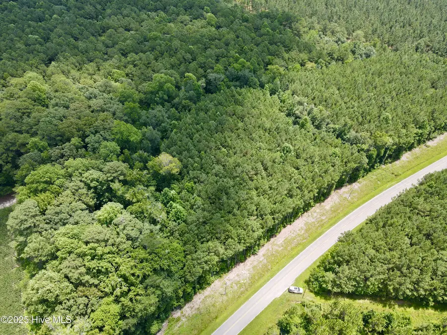 2a Holly Springs Church Road, Williamston, NC 27892 - Image #2