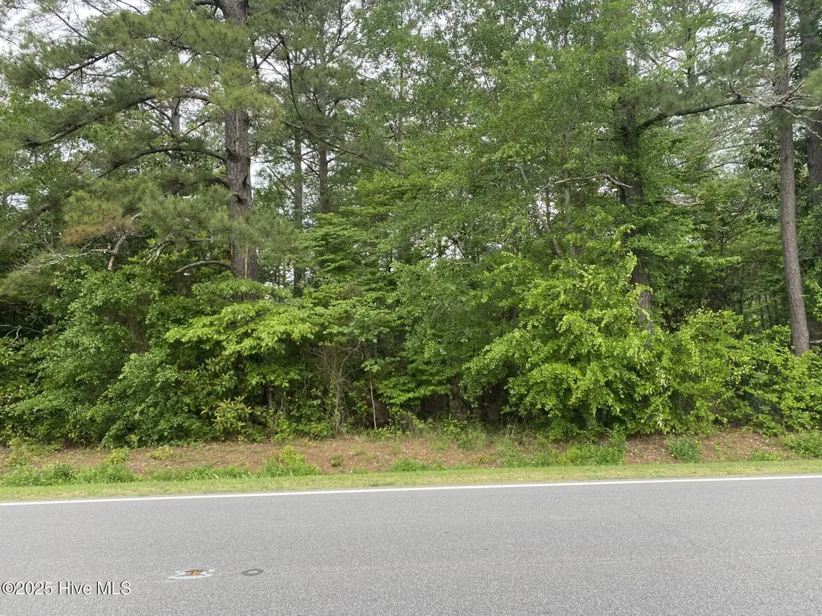 0 Sr 1124 Road, Chocowinity, NC 27817 - Image #1
