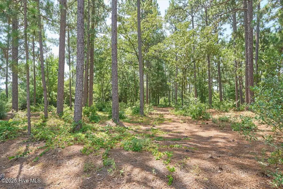 16 Moore Drive, Pinehurst, NC 28374 - Image #2