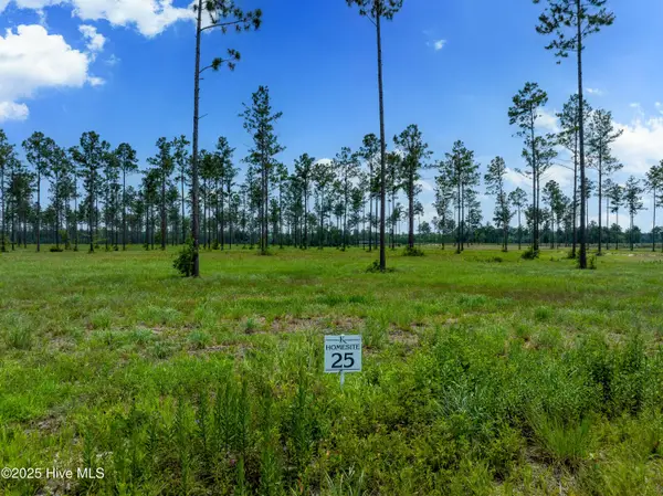 Lot 25 Cattle Drive, Rocky Point, NC 28457