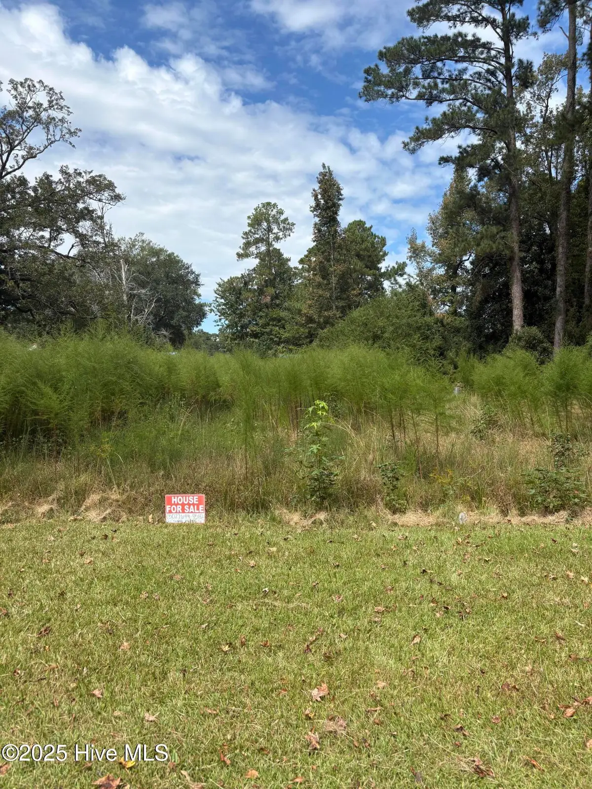 N/A SW Southwest Rail Road Street, Wallace, NC 28466 - Image #1