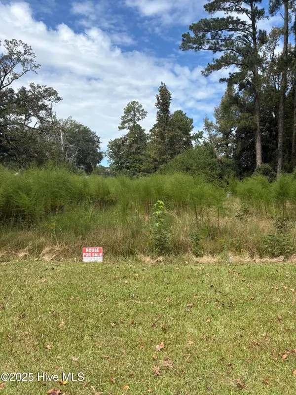 N/A SW Southwest Rail Road Street, Wallace, NC 28466