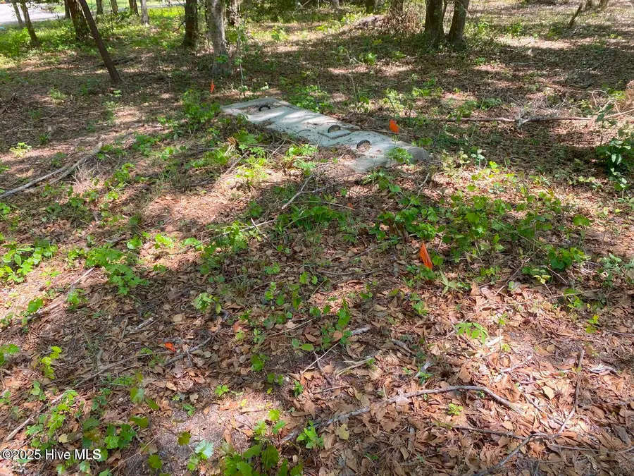 1355 Sweetwater Lane Sw, Supply, NC 28462 - #3