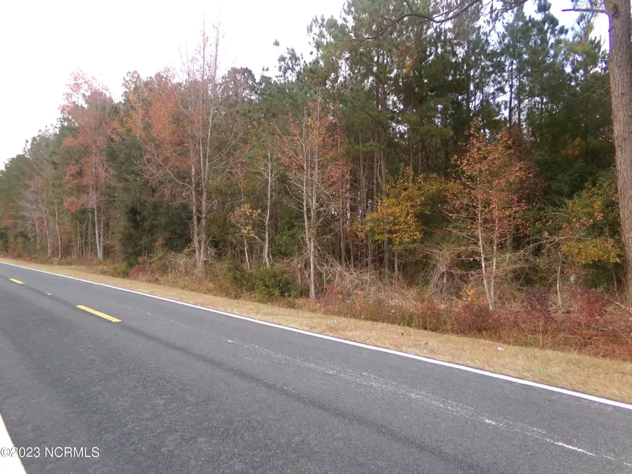 . Near 8832 Old 74 Highway, Evergreen, NC 28438 - Image #2