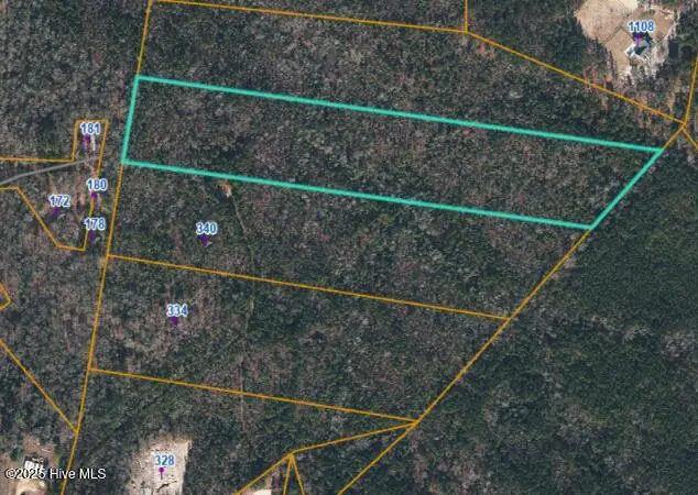 Lot B Carthage Road, West End, NC 27376 - #1