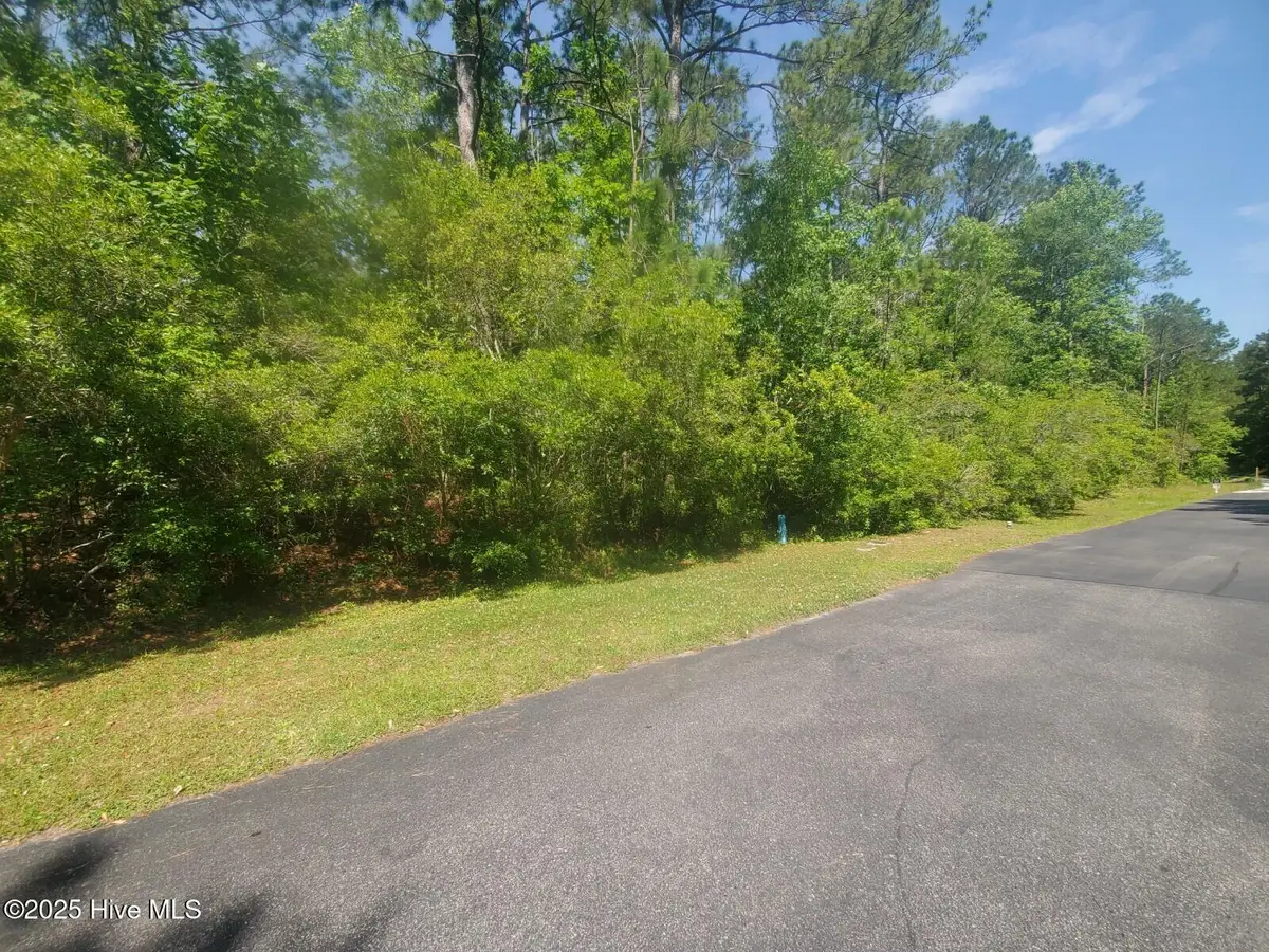 0 Jerome Court, Hampstead, NC 28443 - Image #1