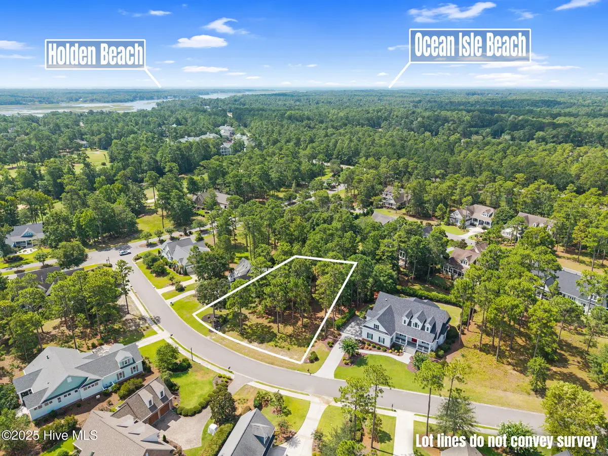 491 Laurel Valley Drive, Shallotte, NC 28470 - Image #1