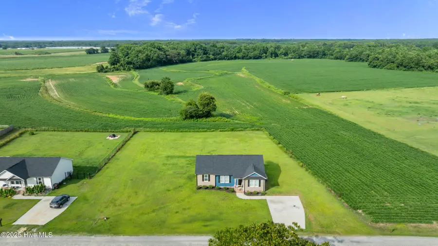 115 Adds Road, Pikeville, NC 27863 - Image #3