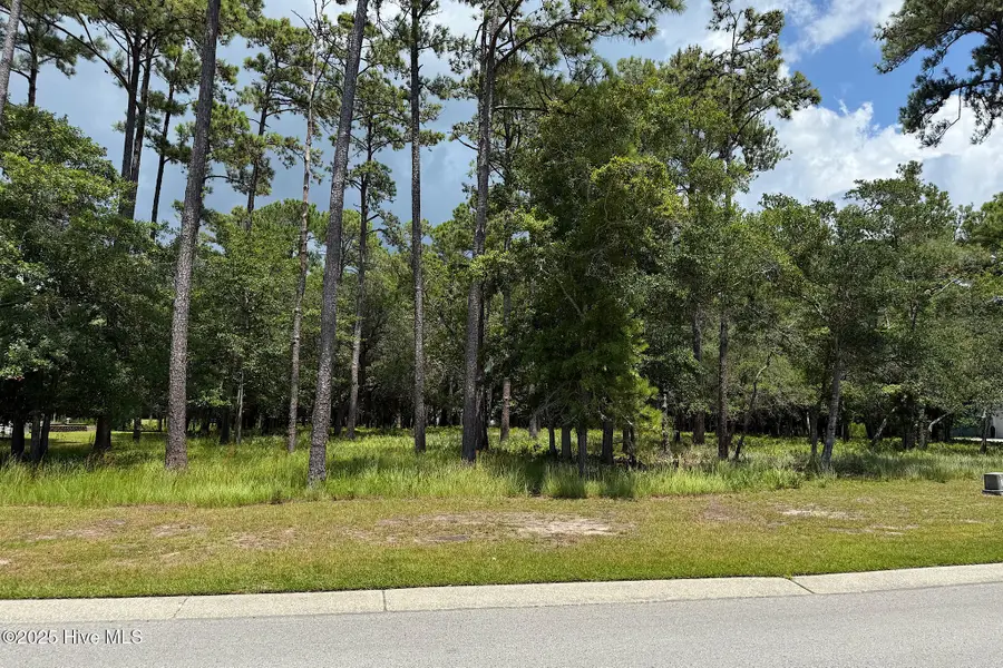 3430 Scupper Run Se, Southport, NC 28461 - Image #2