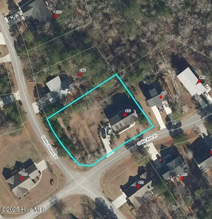 410 Celtic Ash Street, Sneads Ferry, NC 28460 - Image #2