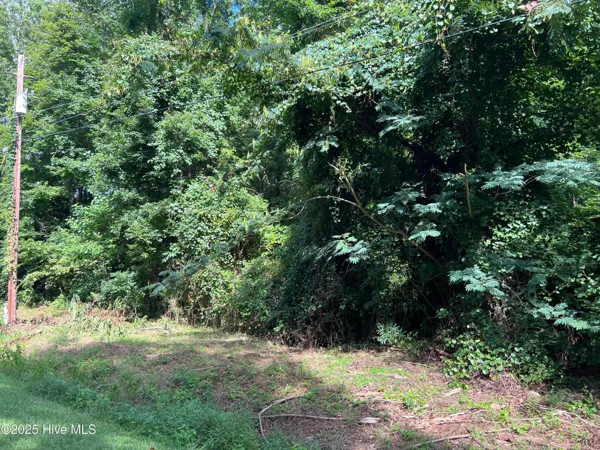 211 Colony Drive, Edenton, NC 27932 - Image #1