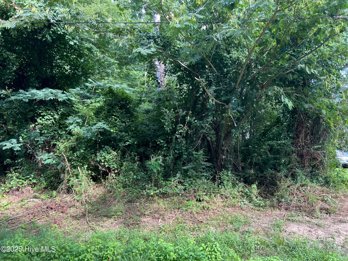 213 Colony Drive, Edenton, NC 27932 - Image #1