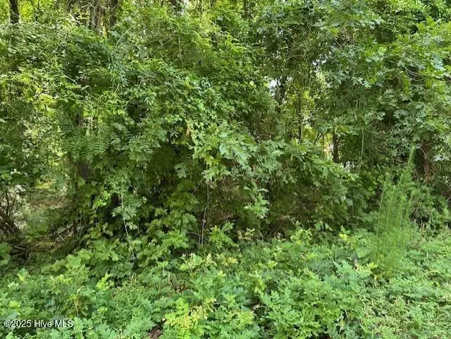 1-B Newby Bay Drive, Hertford, NC 27944 - Image #1