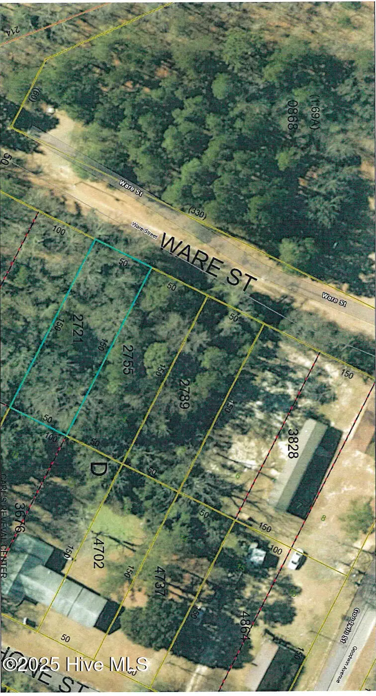 Lot 3 Ware Street, Hamlet, NC 28345 - Image #1