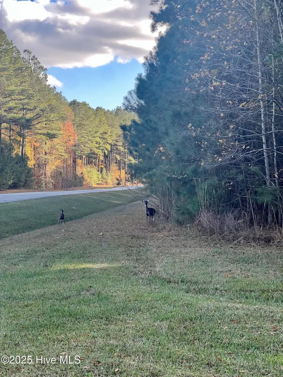 201 Norcum Point Road, Edenton, NC 27932 - Image #2