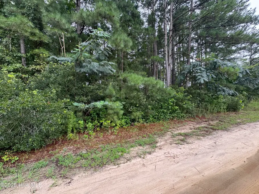 24 Sapling Lane, Cameron, NC 28326 - Image #2