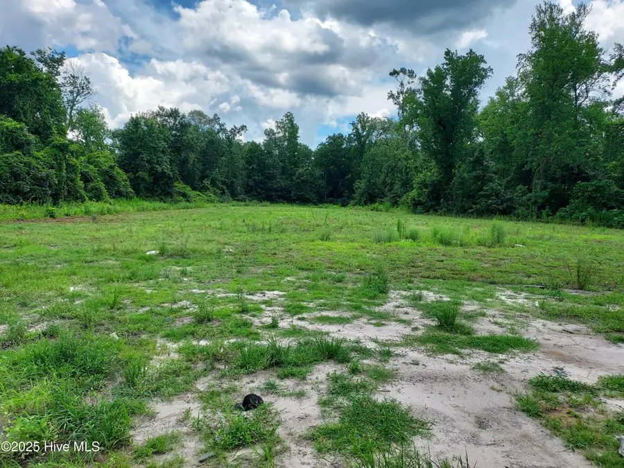 646 Bright Harvest Drive, Maysville, NC 28555 - Image #3